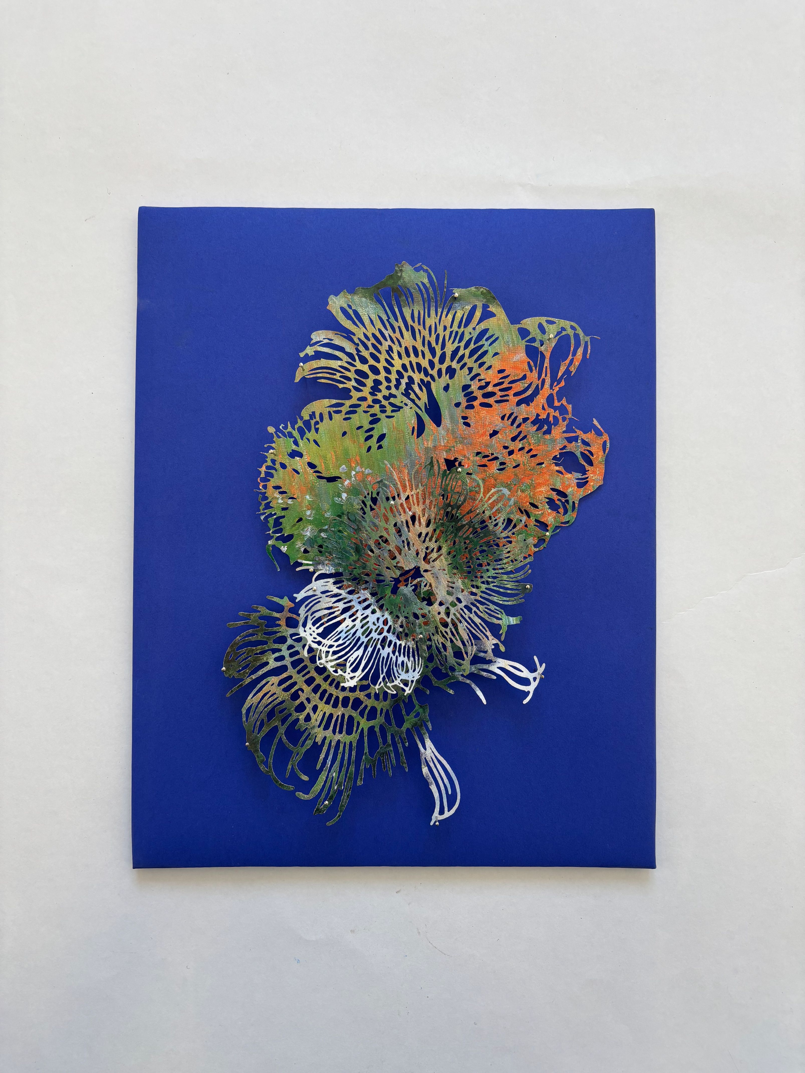 Chasmanthe Bulb Husk by Gabriella Tobler