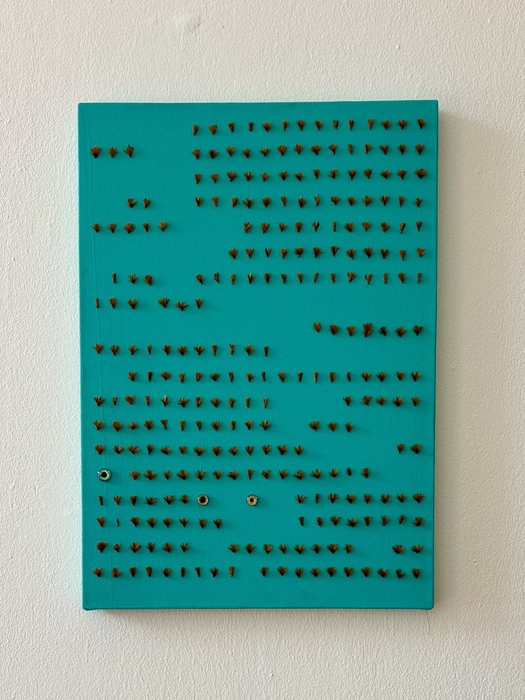 Protea Pappus Achene by Gabriella Tobler