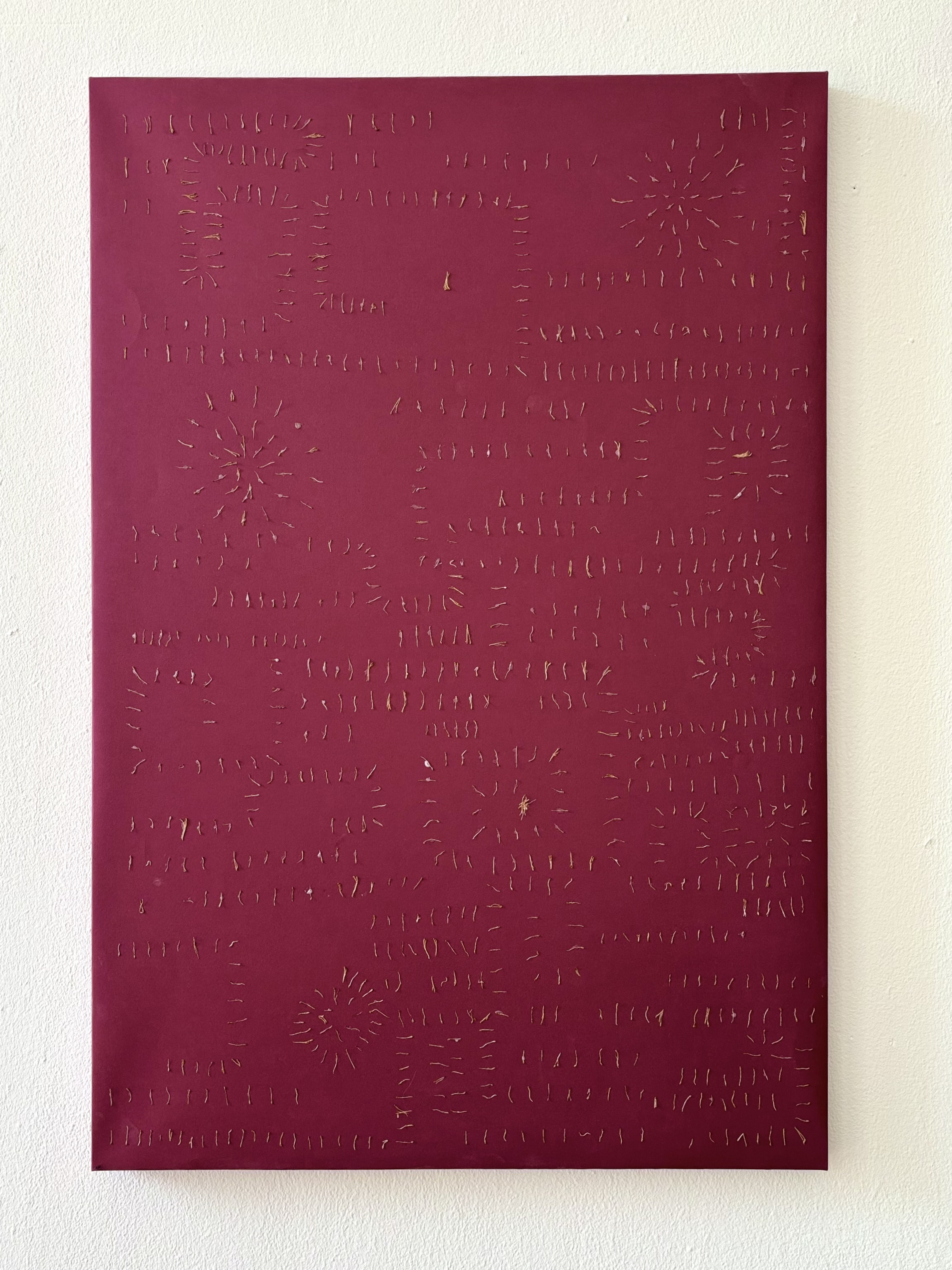 Ficus Natalensis Code by Gabriella Tobler