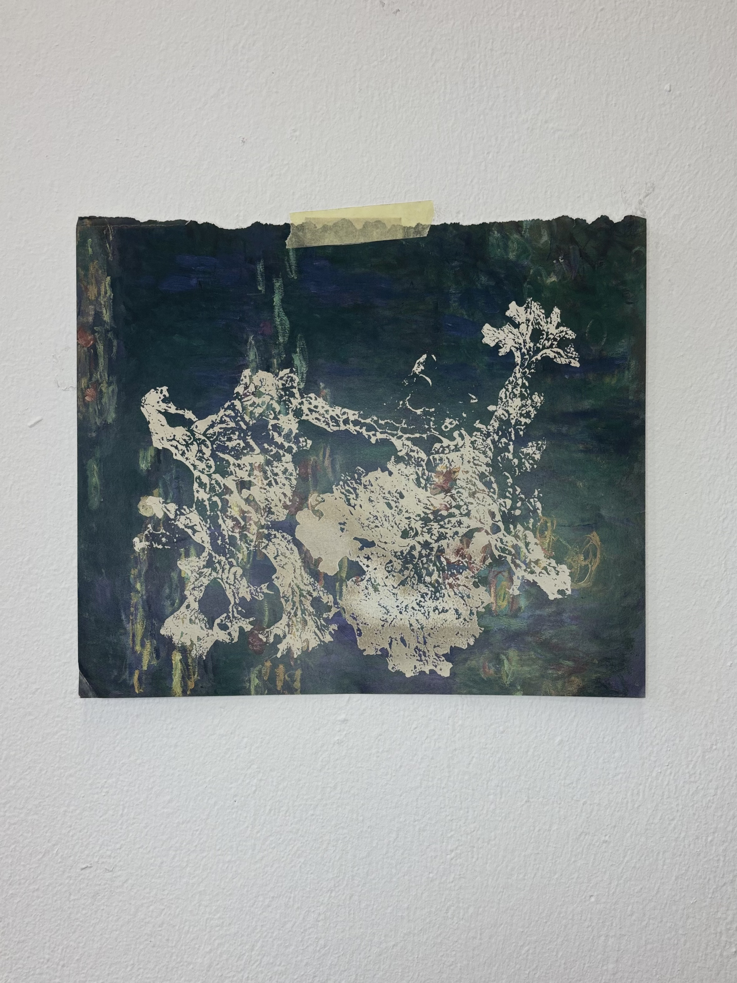 Lungwort Lichen Engraving by Gabriella Tobler