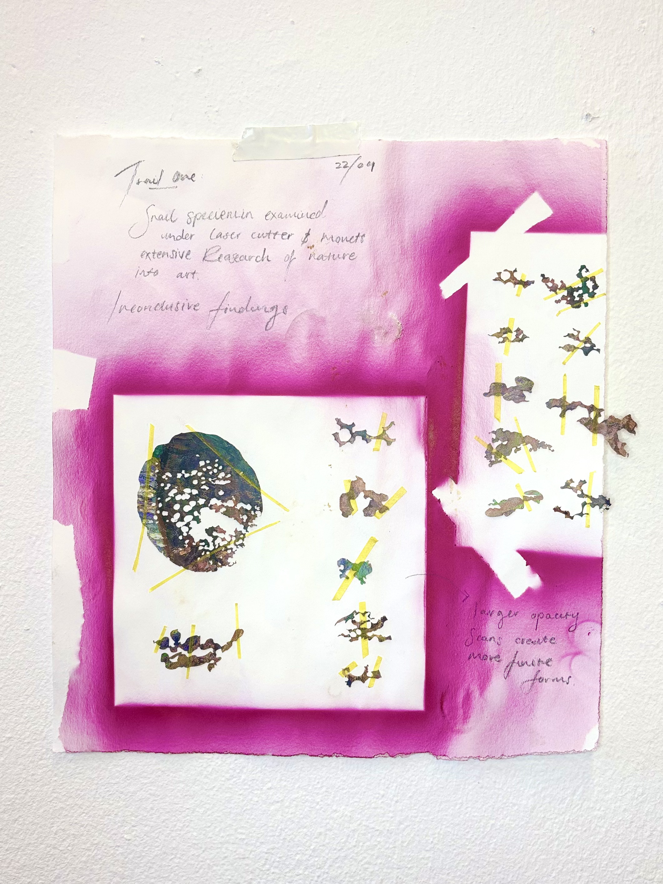 Operculum III (Investigation) by Gabriella Tobler