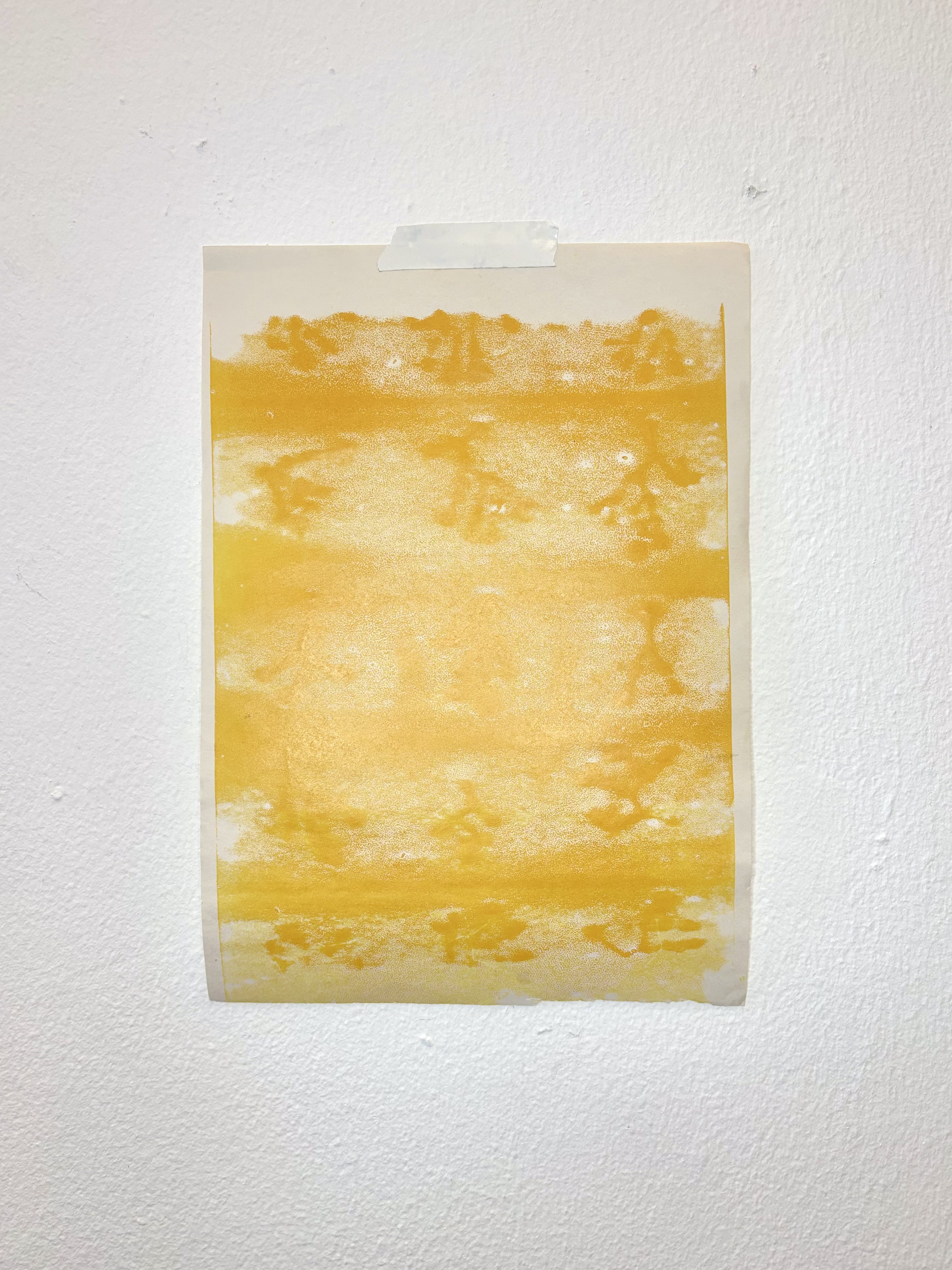 Bromeliad Experimentation by Gabriella Tobler