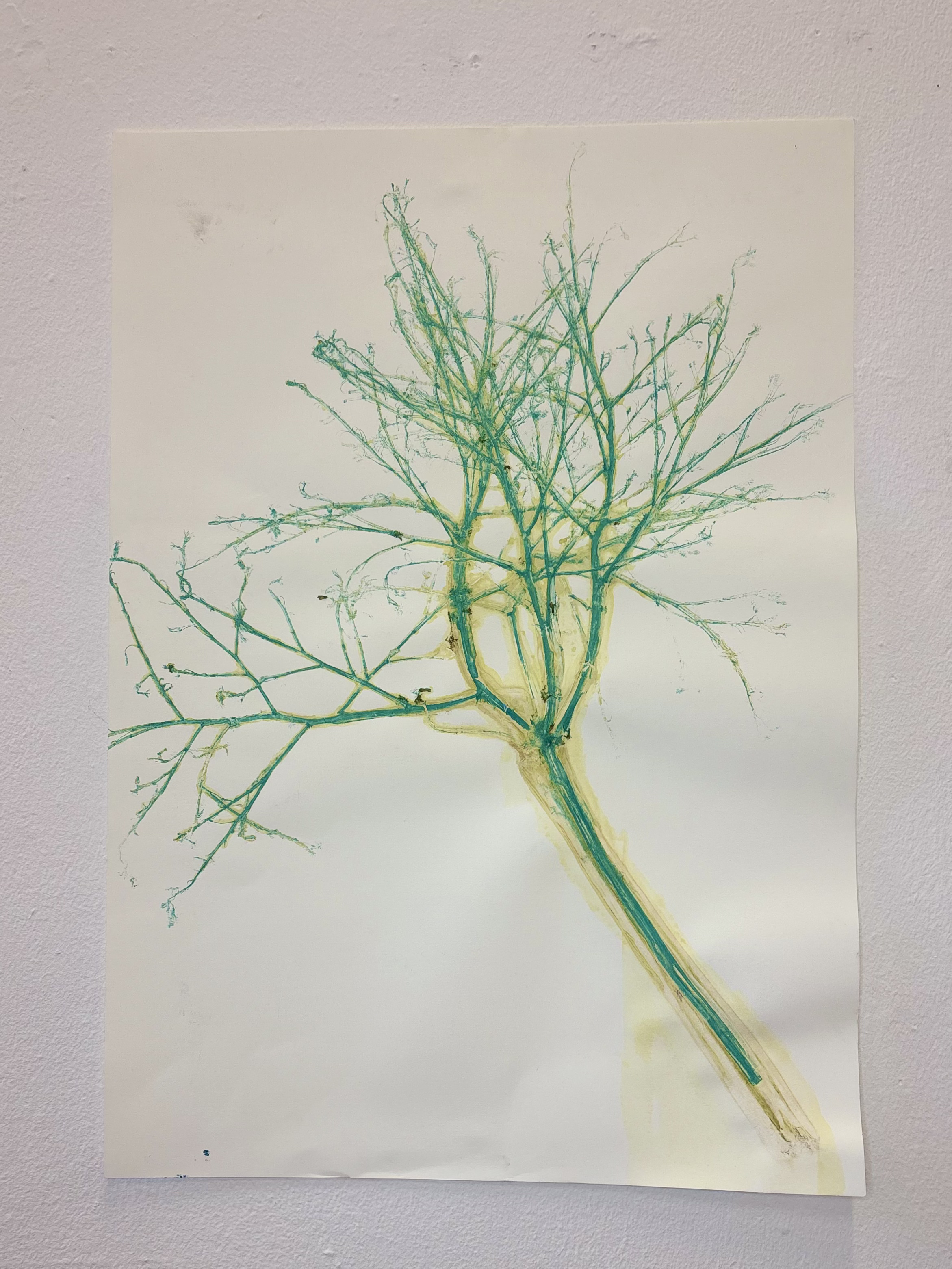 Bella by Gabriella Tobler