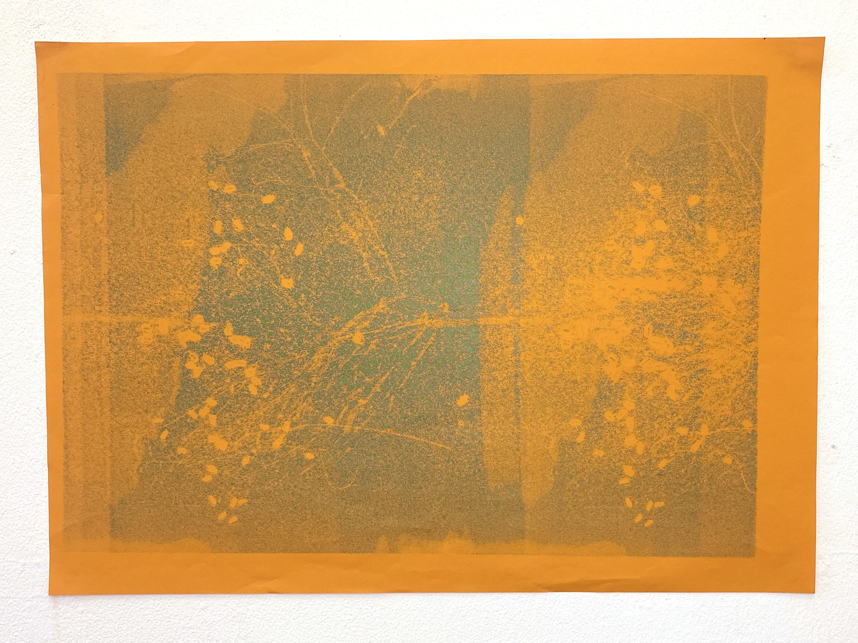 Figure Scans by Gabriella Tobler