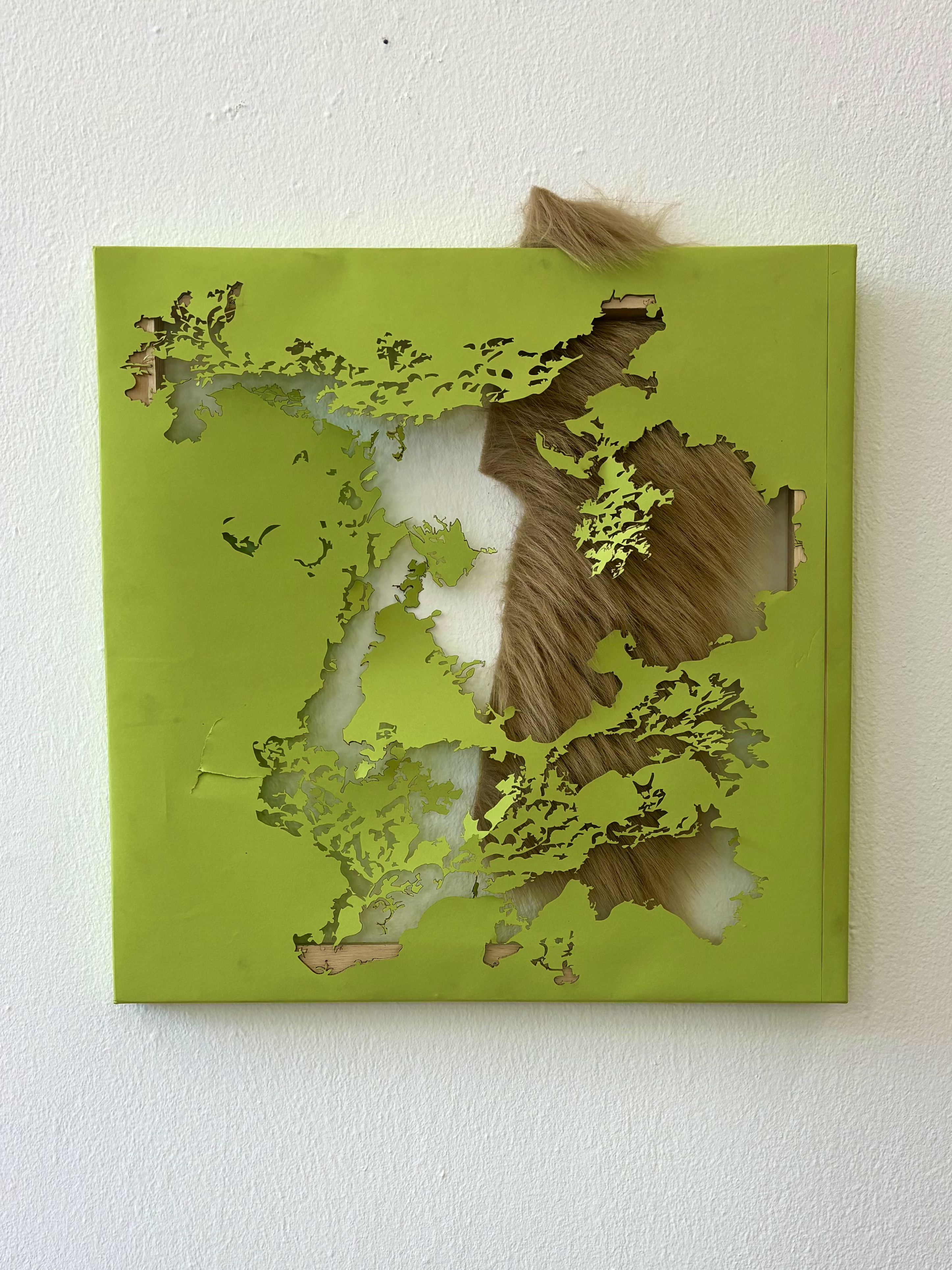 Lungwort Lichen (Laser Cutout) by Gabriella Tobler