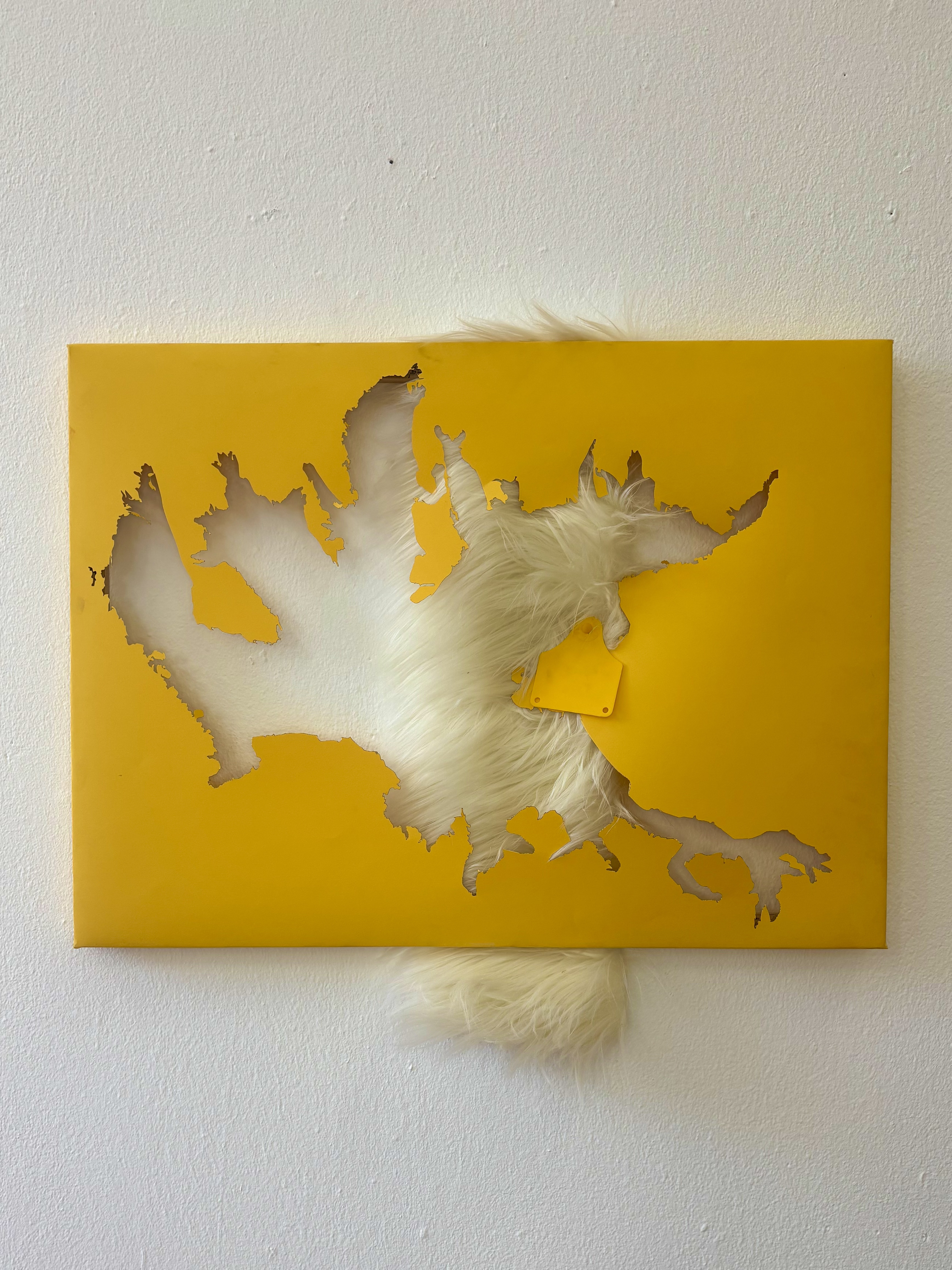 Foliose Lichen (Laser Cutout) by Gabriella Tobler