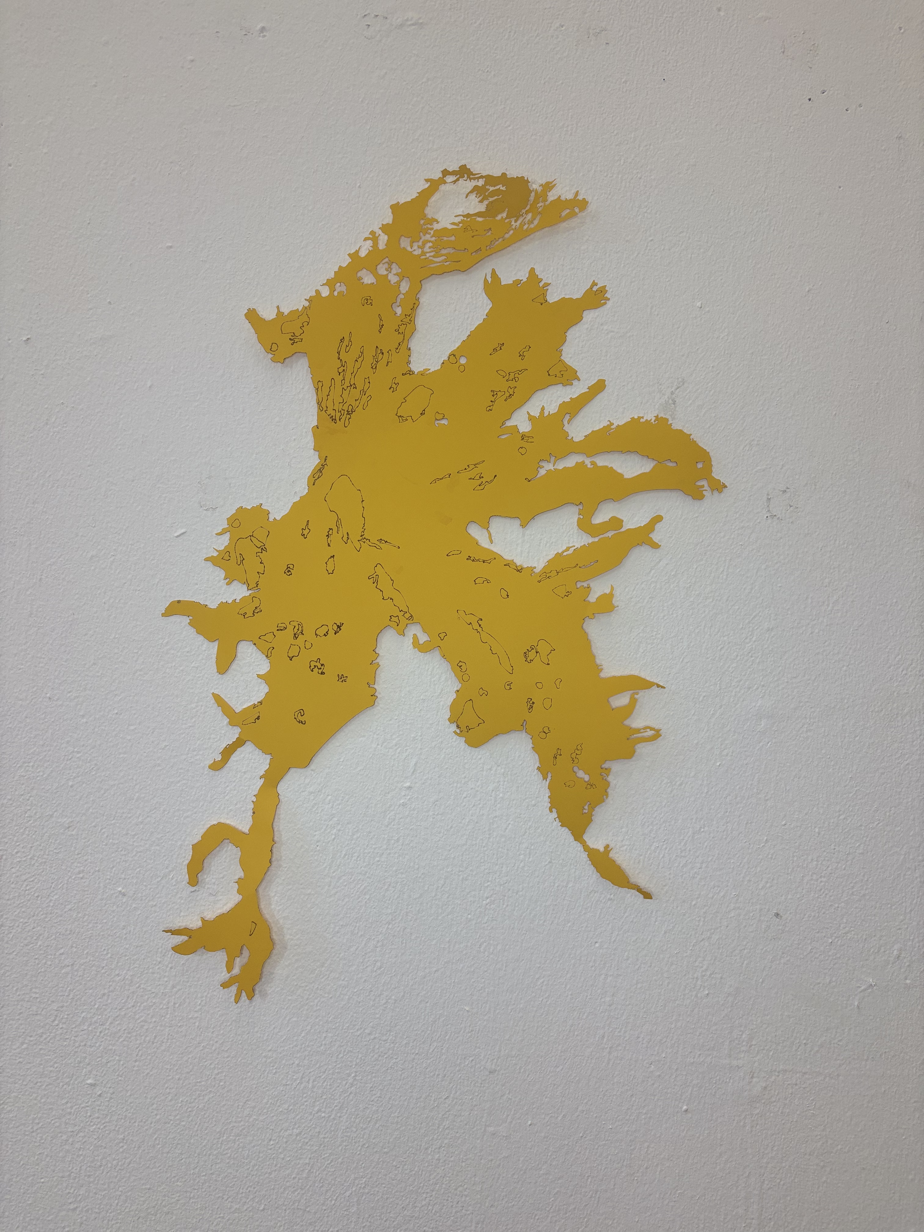 Foliose Lichen Offcut by Gabriella Tobler